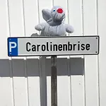 Carolinenbrise *
