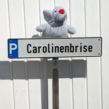 Carolinenbrise *